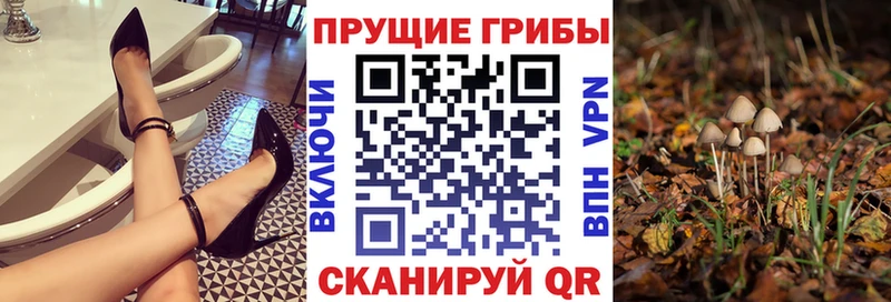 даркнет сайт  Аксай  Псилоцибиновые грибы MAGIC MUSHROOMS 